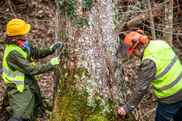 Best Storm Damage Tree Cleanup  in Marianna, FL